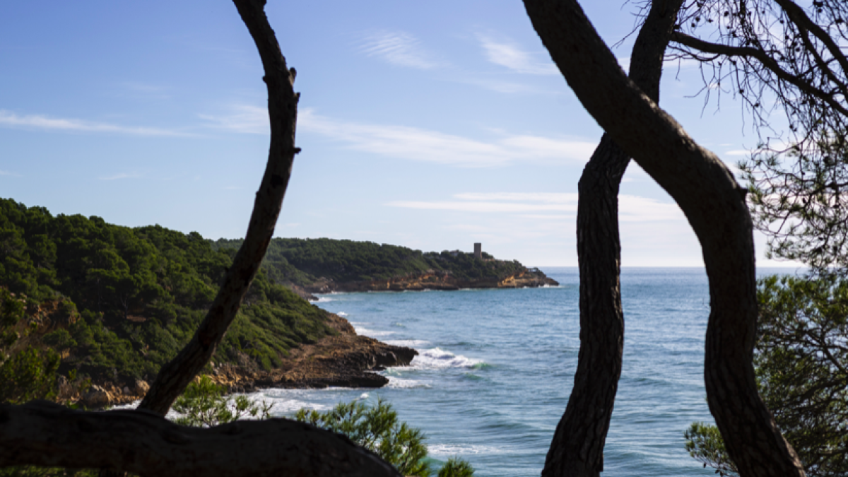 La nueva web-app contendrá rutas de los entornos de la Anilla Verde.