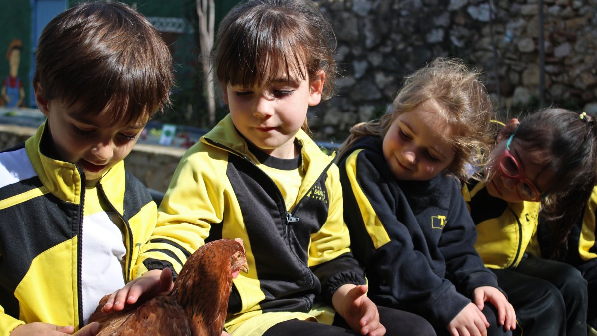 Col·legi Sant Pau Apòstol: Més de 50 anys respirant internacionalitat i innovació en un entorn privilegiat.