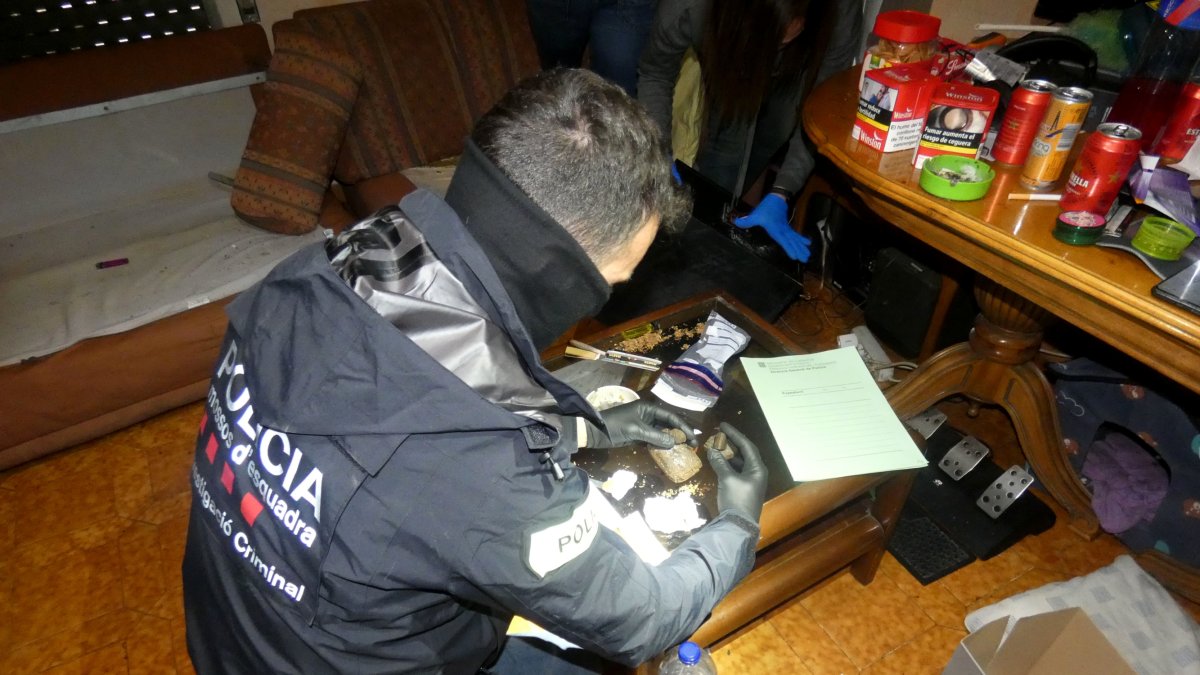 Un agent els Mossos requisa droga al pis dels arrestats de Tortosa.