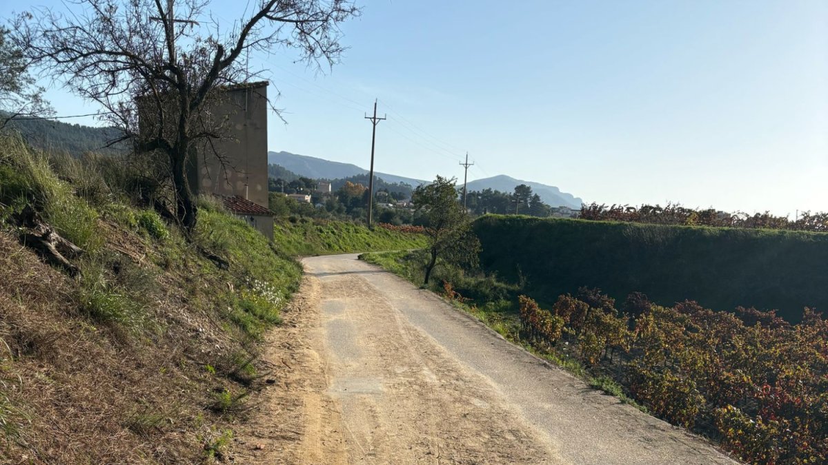 Imagen de uno de los tramos del camino que utilizan los alumnos para ir hasta el Instituto Priorat.