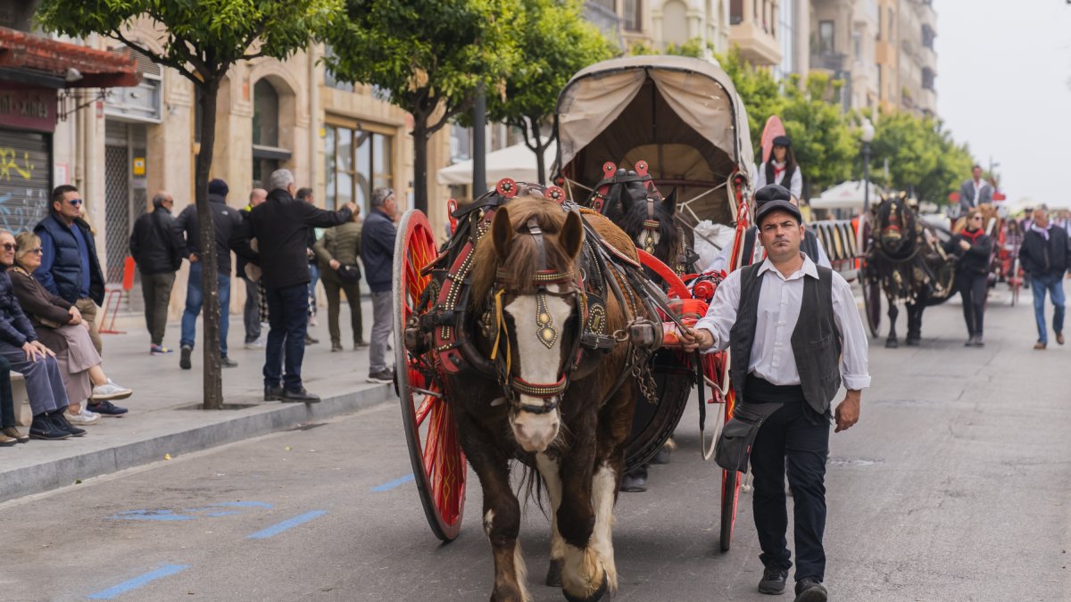 Els Tres Tombs arrencaran des del carrer Francesc Bastos a les 11.30 hores.