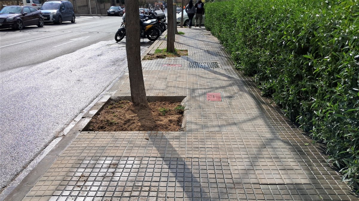 Una de les actuacions fetes a Sant Pere i Sant Pau.