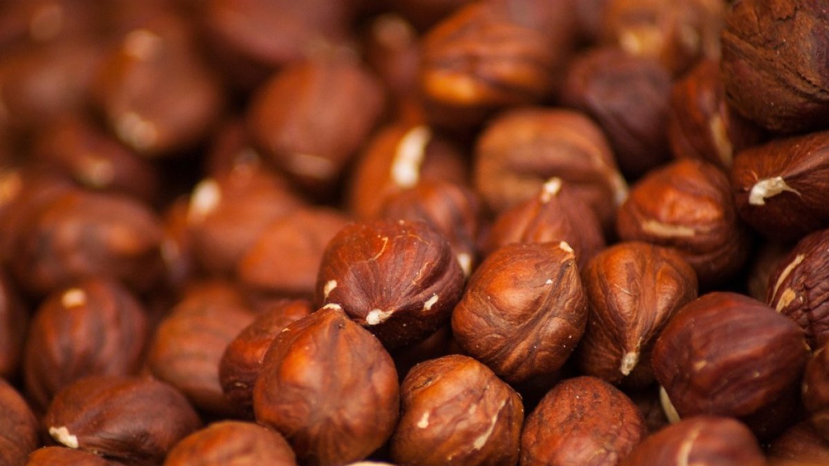 Imagen de avellanas.