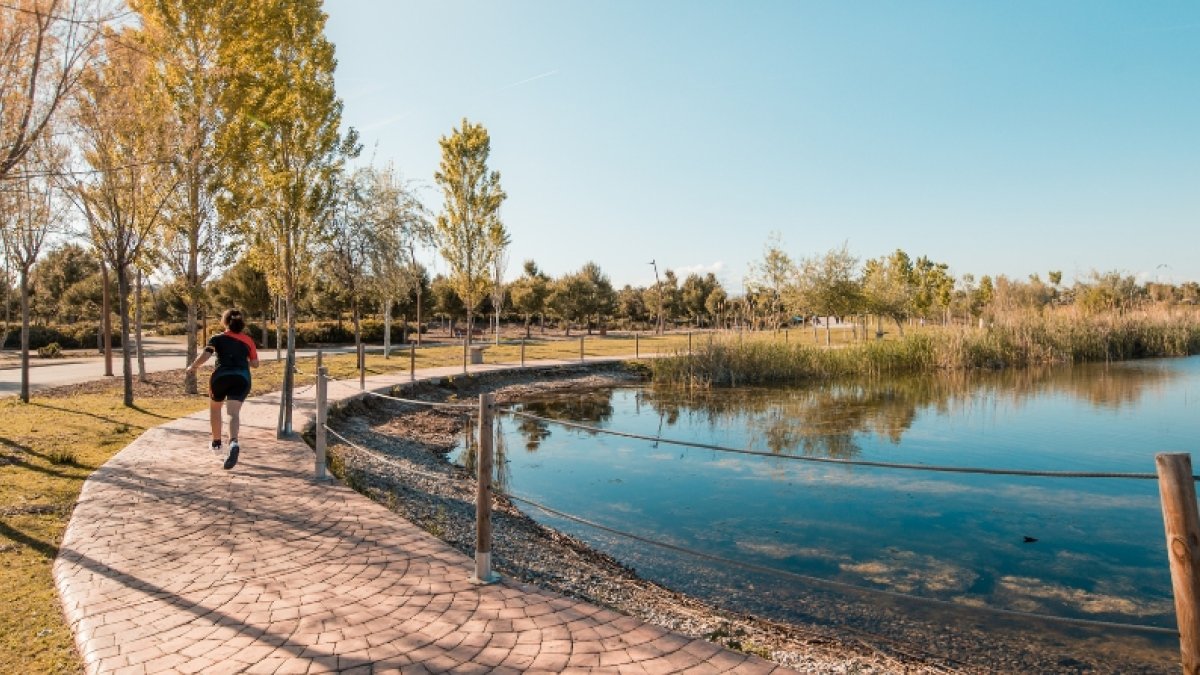Diferents espècies invasores s’han instal·lat a la llacuna de l’Anella Mediterrània.