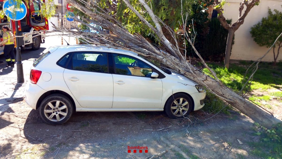 Un árbol caído sobre un coche en la calle de las Moreras, en Altafulla