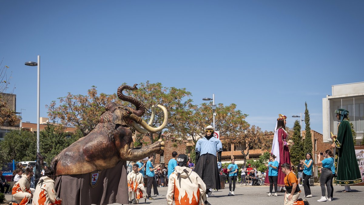 El pasacalle municipal se lucirá el próximo lunes al mediodía entre la plaza del Castell y la rambla 15 d'Abril.