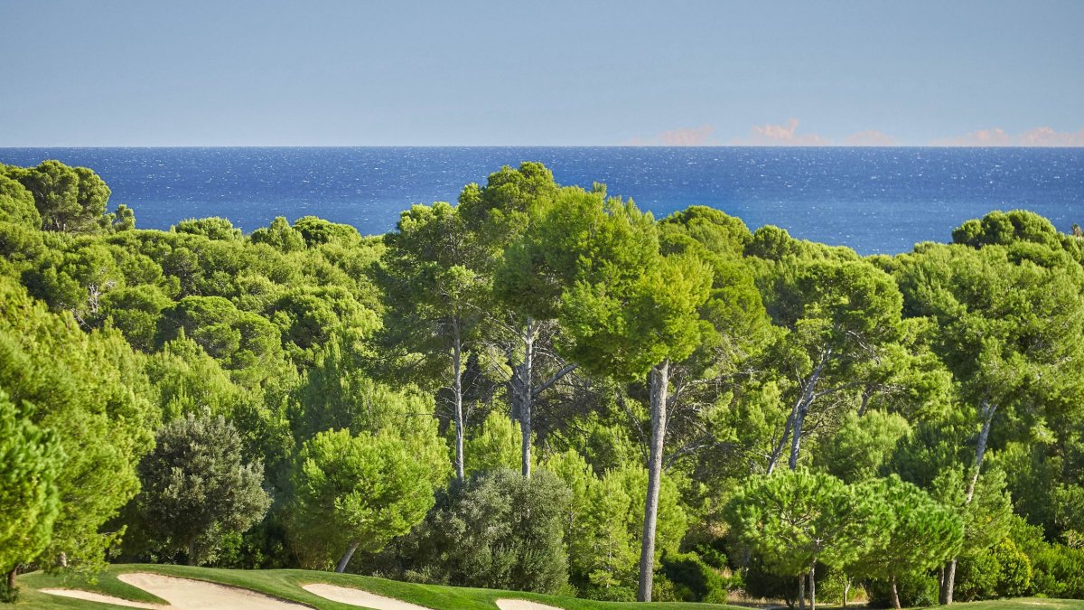 Imatge del Camp de Golf Hills.