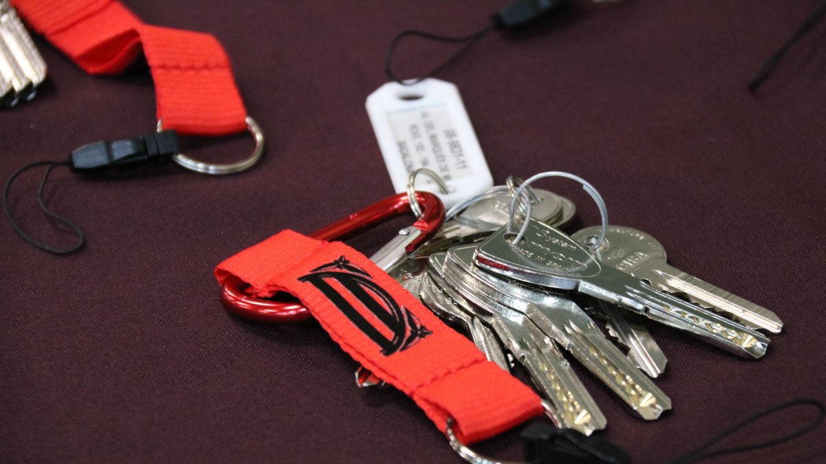 Imatge d'unes claus de pisos públics.