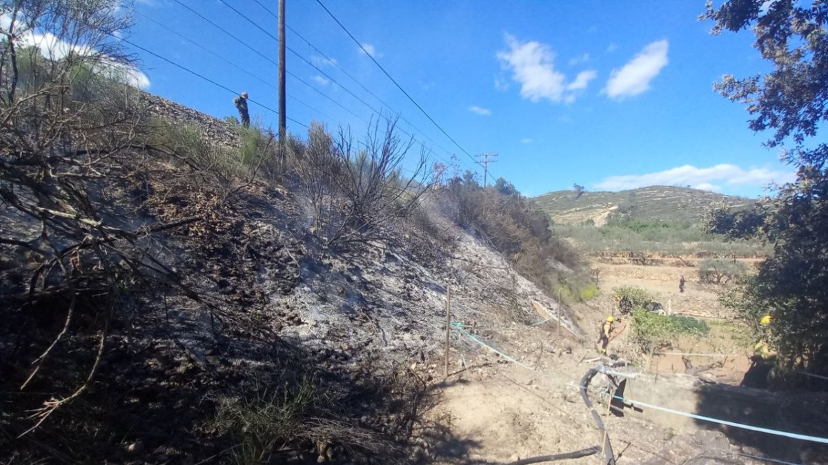 Imagen del incendio en Pradell de la Teixeta.