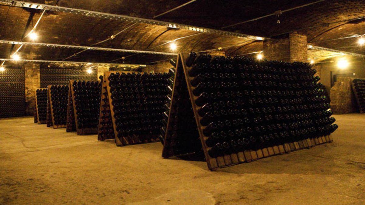 Imagen de una bodega de Freixenet.