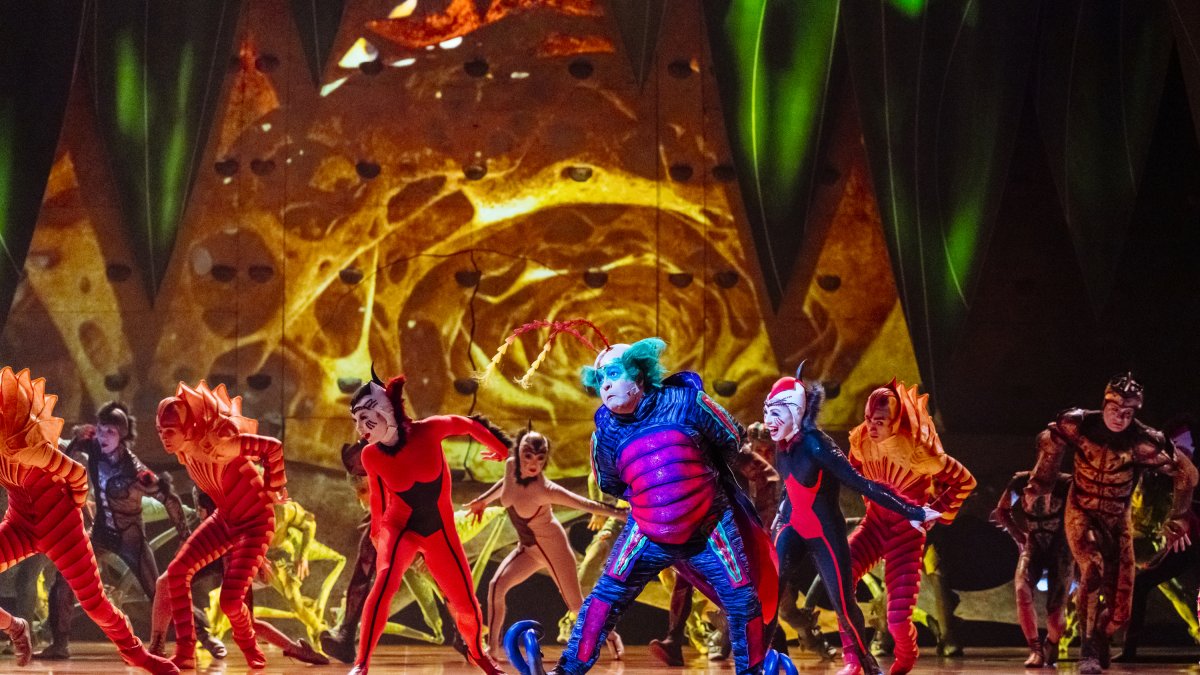 Una imatge de l'espectacle 'Ovo' del Cirque du Soleil.