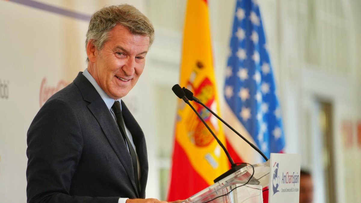 El líder del PP, Alberto Núñez Feijóo, aquest dimecres a Madrid.