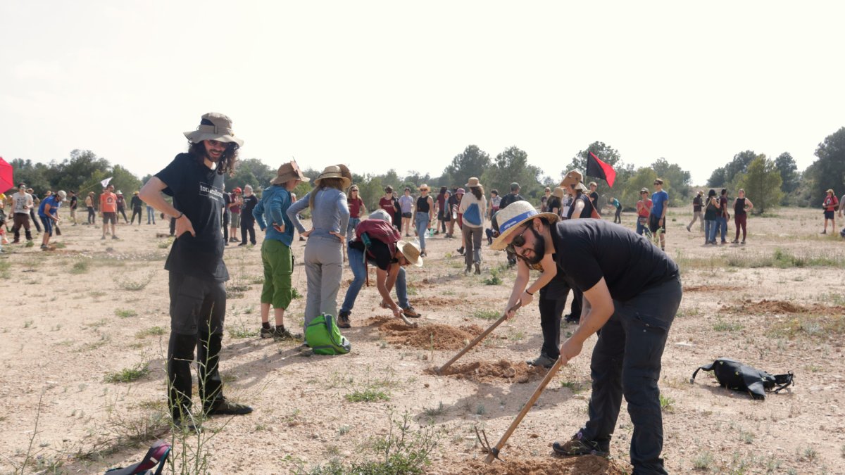 La acción reivindicativa ha consistido en la plantación de planteles de secano en los terrenos donde se proyecta la empresa Lotte en Mont-roig del Camp