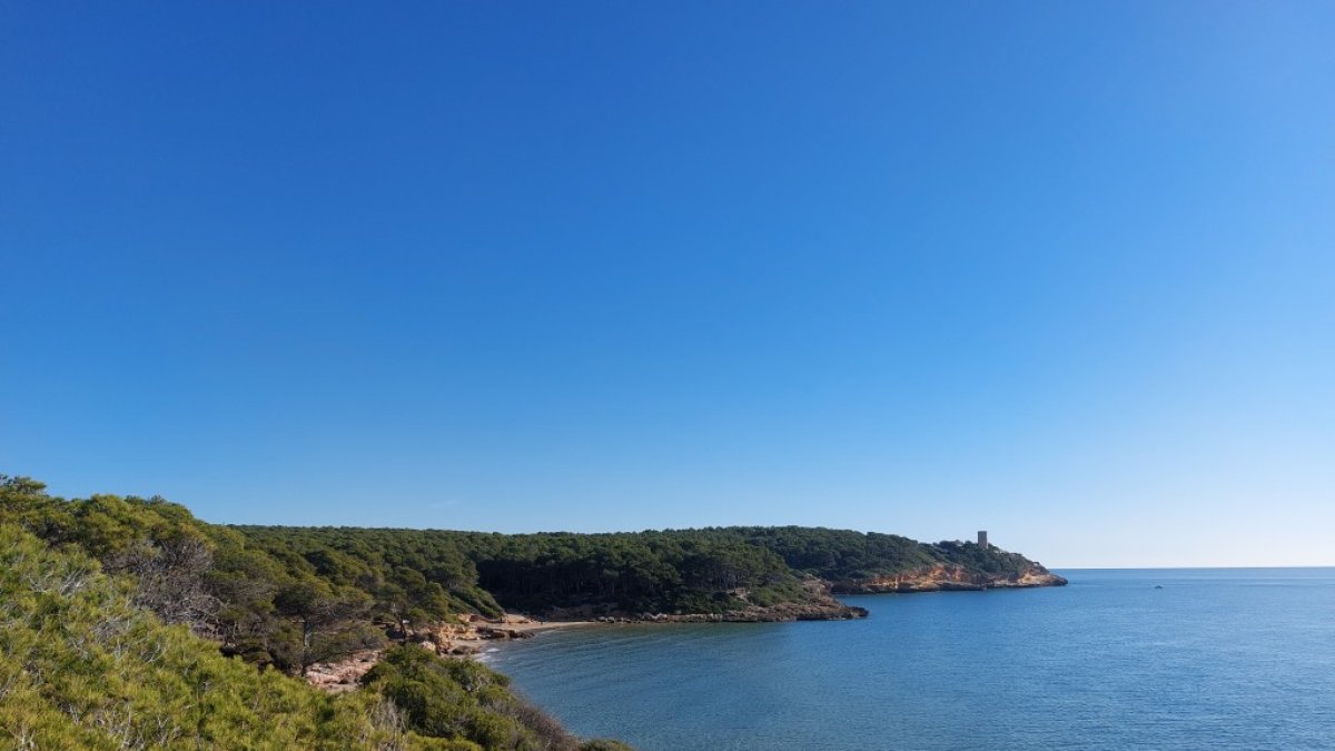 El sector litoral del Bosque de la Marquesa, con la cala de la Roca Plana y, en el fondo, la torre de la Móra.