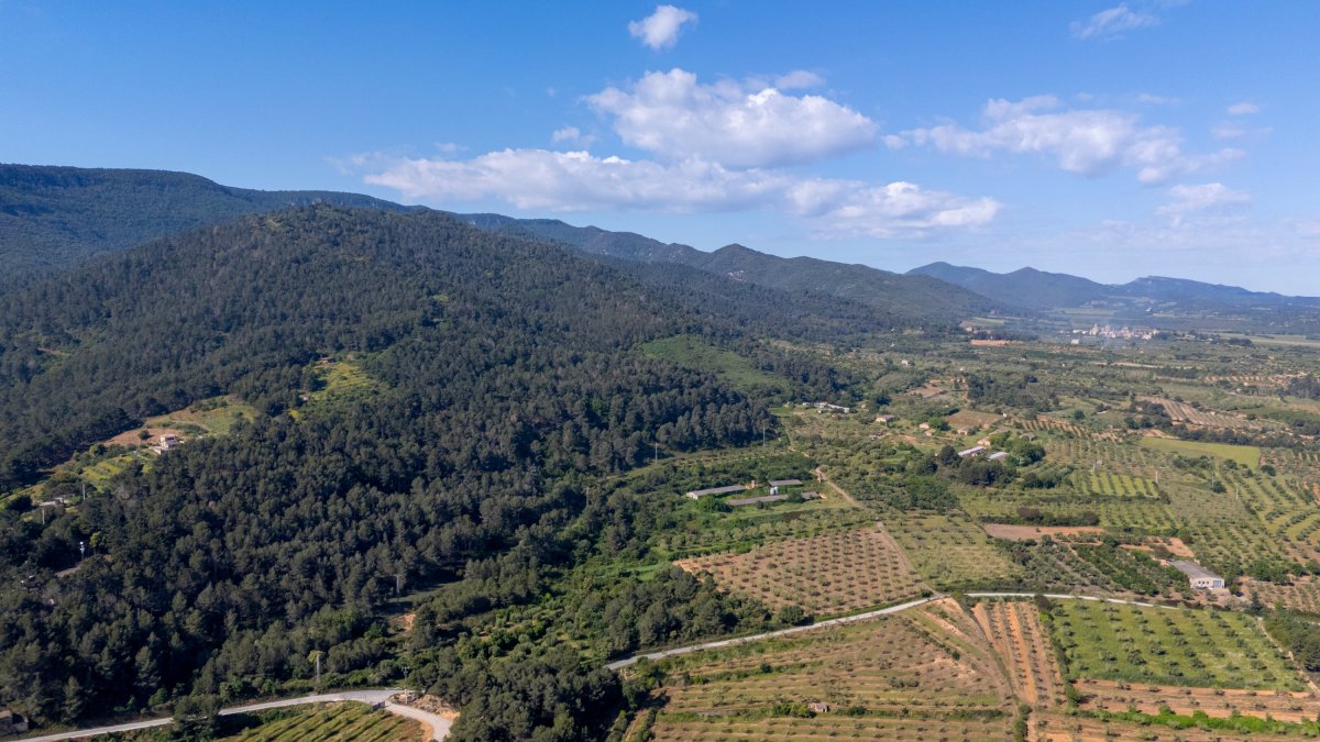 El barranc de la Trinitat, un dels indrets que formarà part del futur Parc Natural de les Muntanyes de Prades.