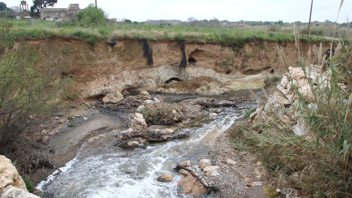 Imagen del barranco de Barenys, en el punto en que la EDAR de Reus vierte agua.