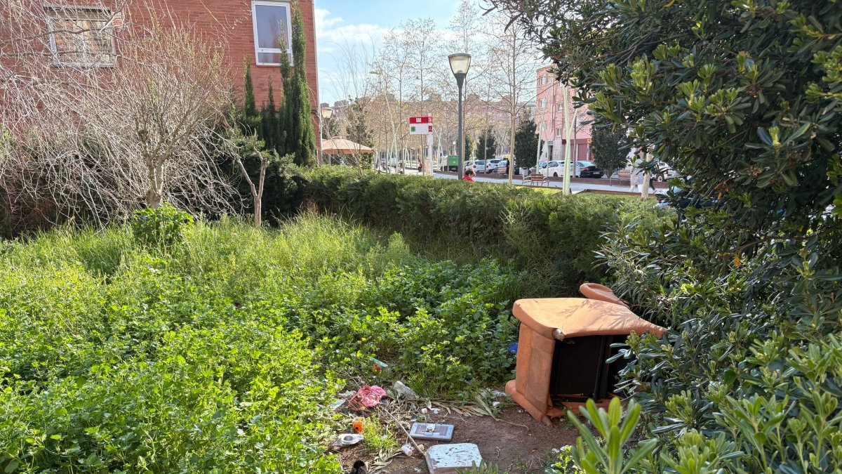 Imatge del jardí entre el carrer San Benilde i la Rambla de Ponent de Torreforta que està en un estat insalubre.