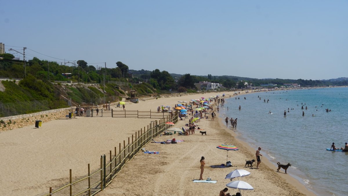 Imatge de la zona per a gossos a la platja Llarga de Tarragona.