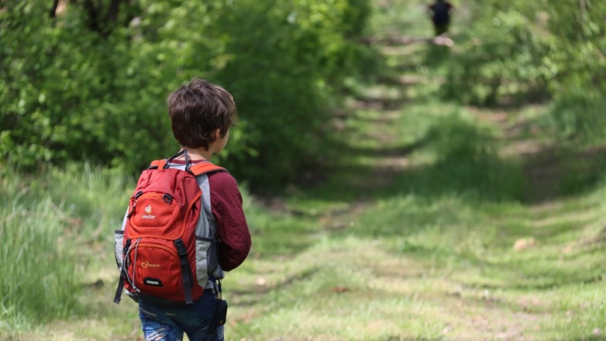 Imagen de un niño paseando.