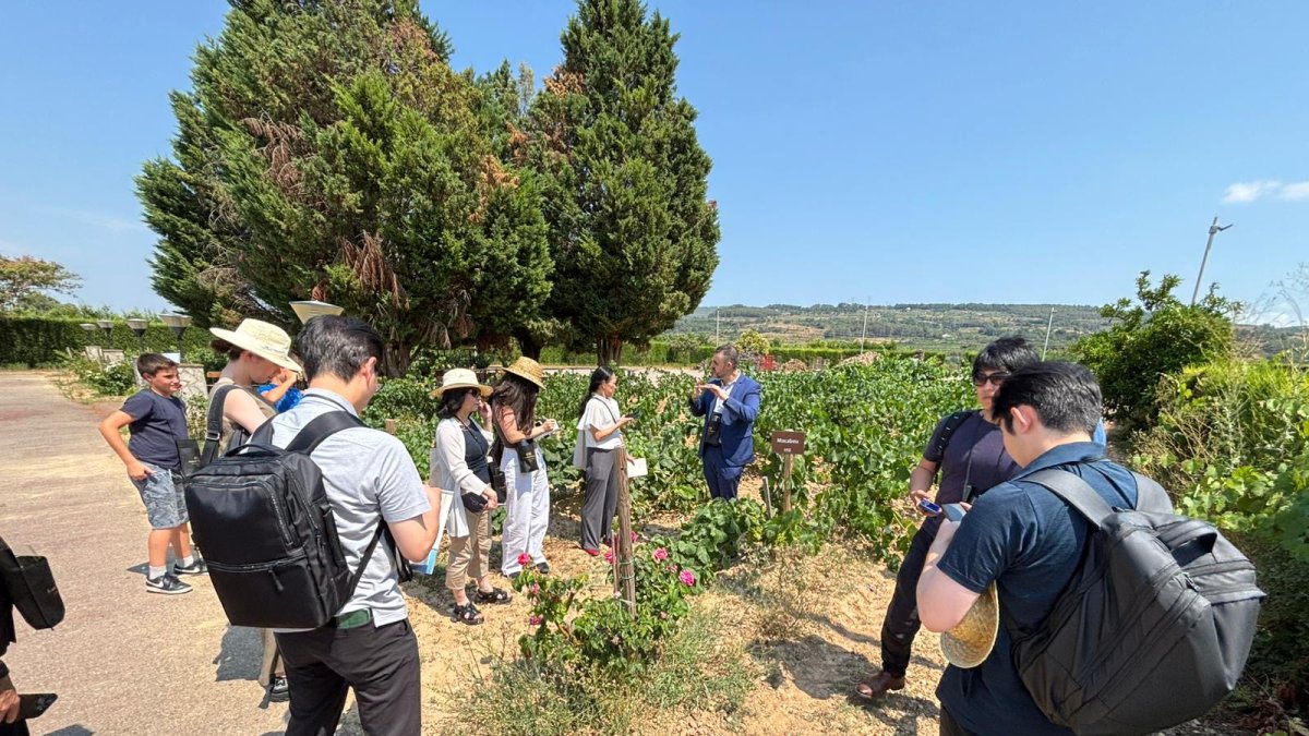 Una de les visites a un celler per part dels importadors japonesos.