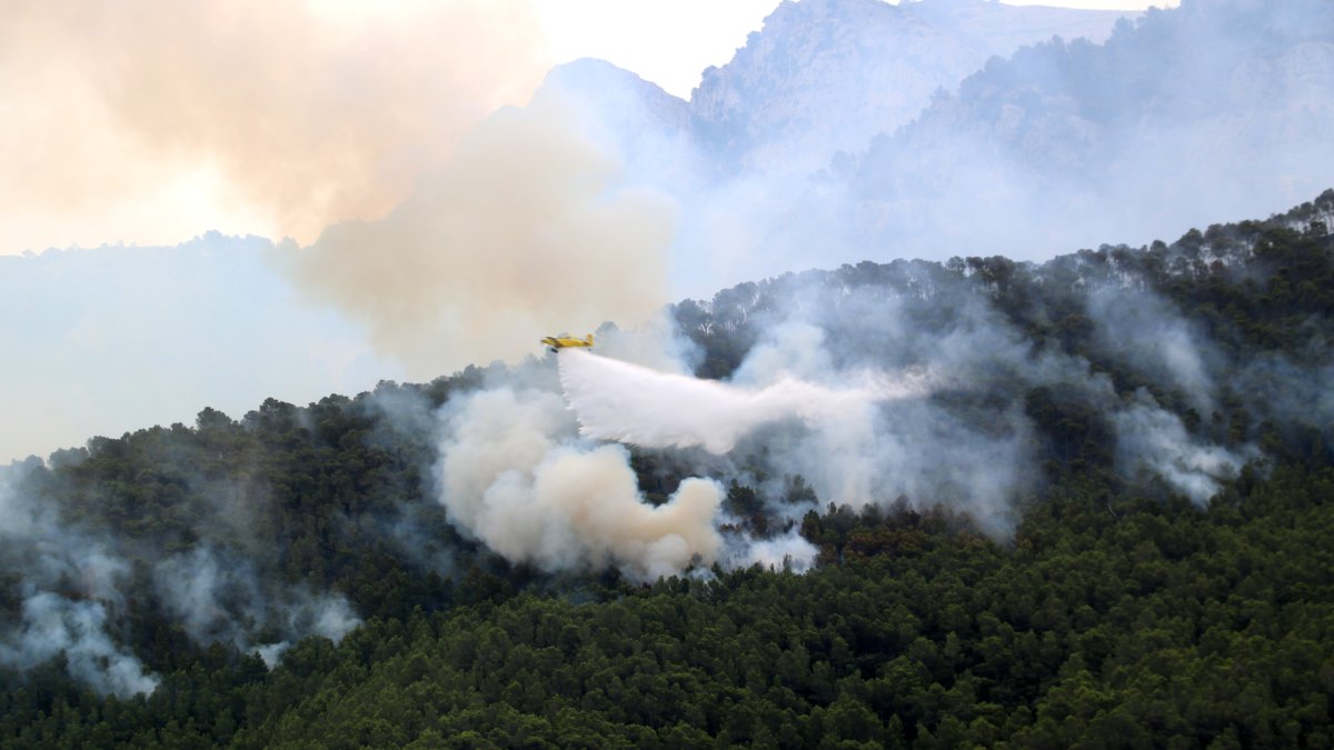 Una avioneta tira aigua sobre els pins cremats a l'incendi a Paüls.