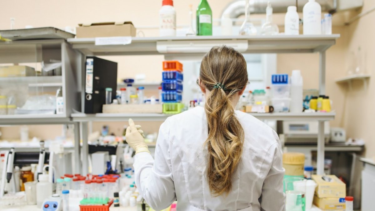 Los proyectos abordan ámbitos como ciencias de la información e ingeniería, ciencias sociales y humanidades.