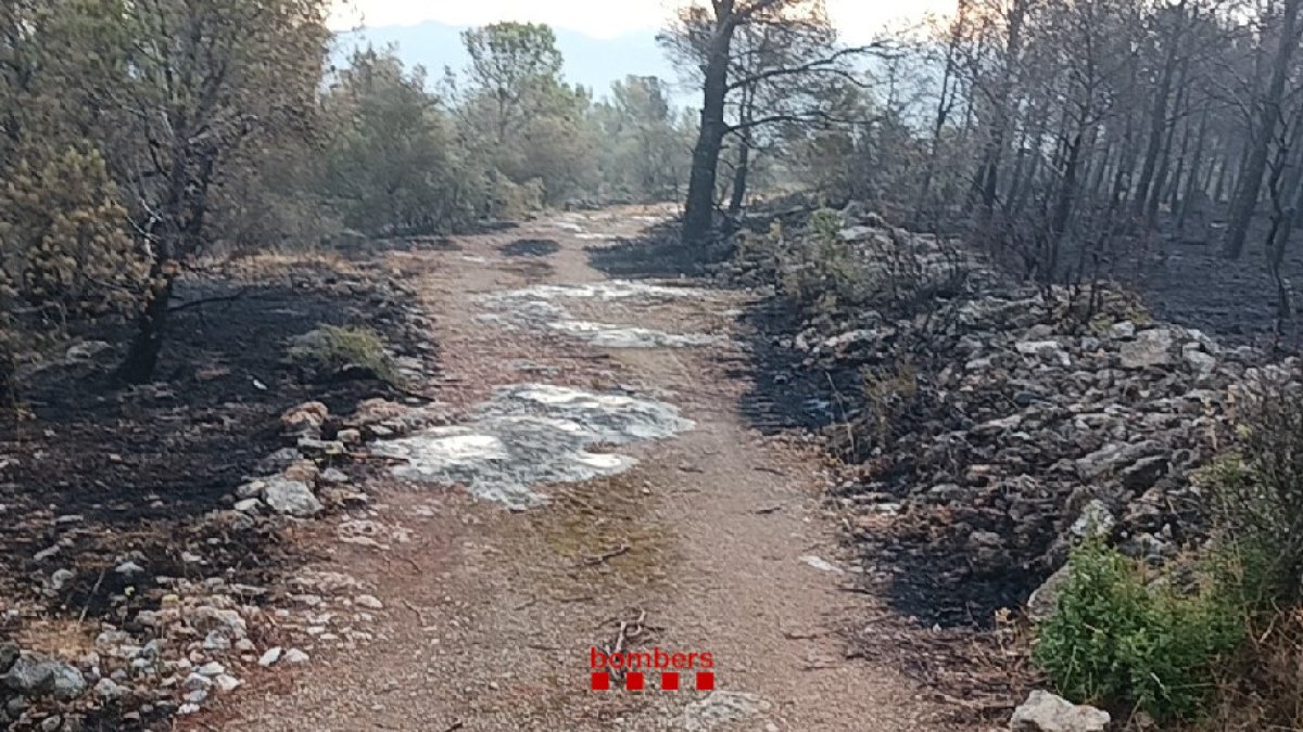 Un terreny afectat per l'incendi de Paüls.
