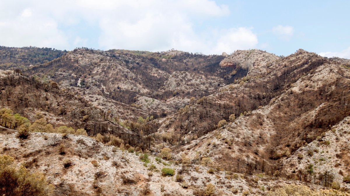 Montañas quemadas por el incendio de Paüls