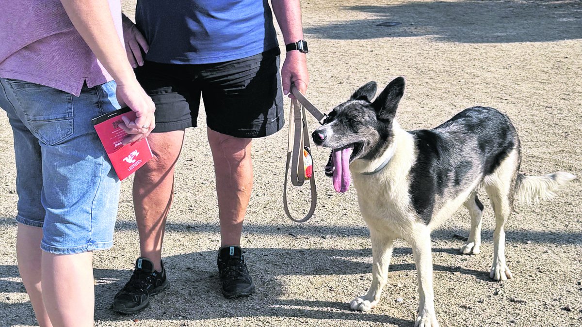 Un agente de la UMA de paisano haciendo entrega de un tríptico a un ciudadano, con su perro al lado.