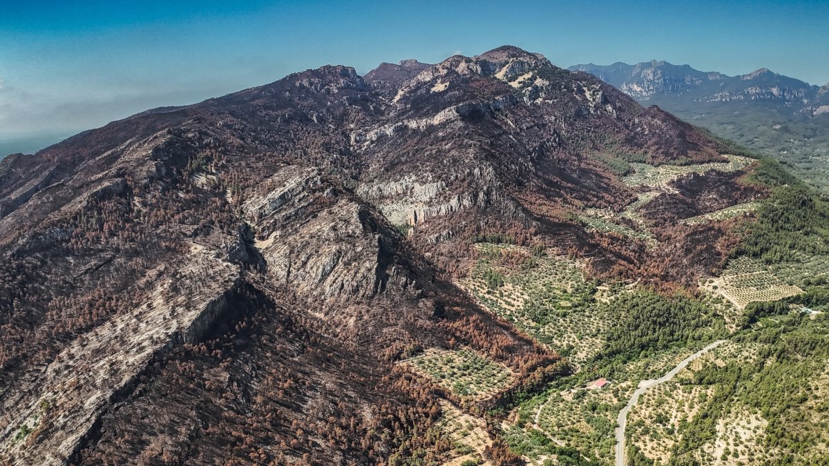 Vista de tots els cims al sud-est de Paüls cremats per l'incendi