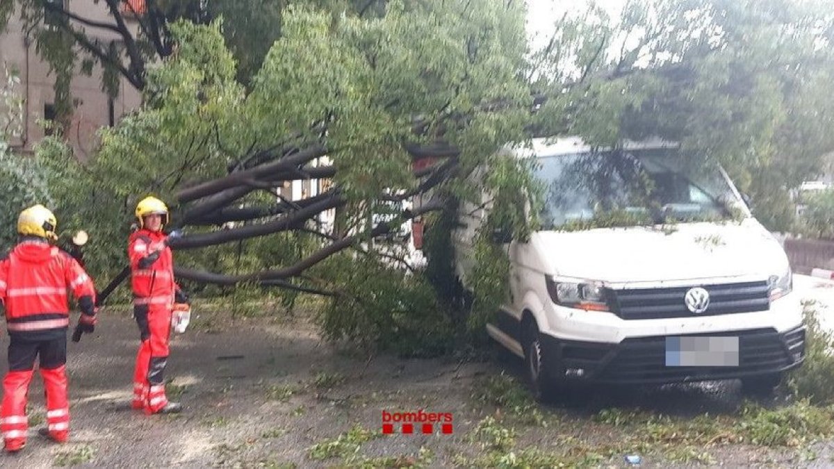 Un árbol caído sobre una furgoneta en Terrassa a causa de un episodio de lluvias intensas generalizado en Cataluña.