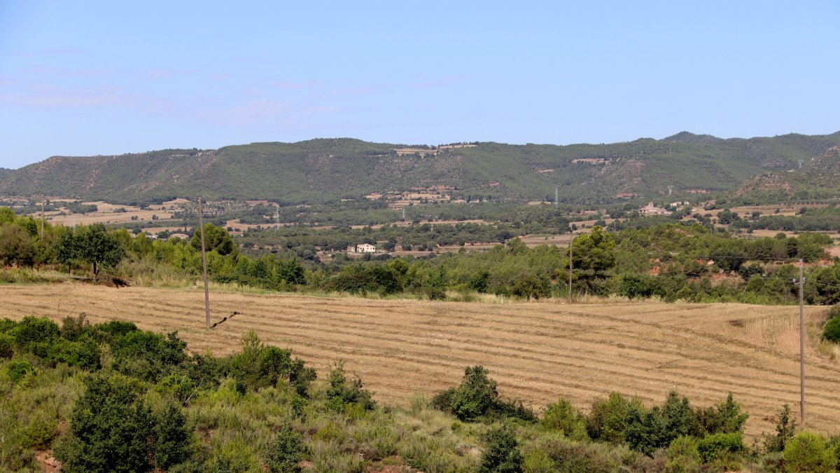 Arxiu de camps de conreu.