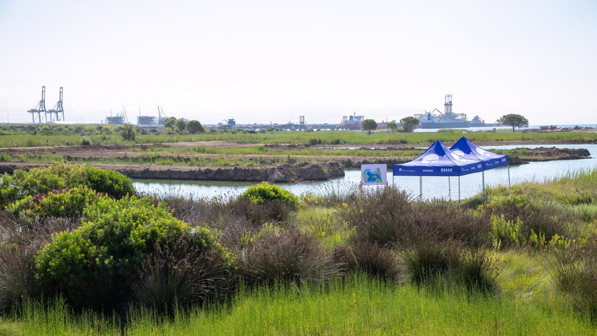 Imatges dels treballs de renaturalització als Prats d’Albinyana.