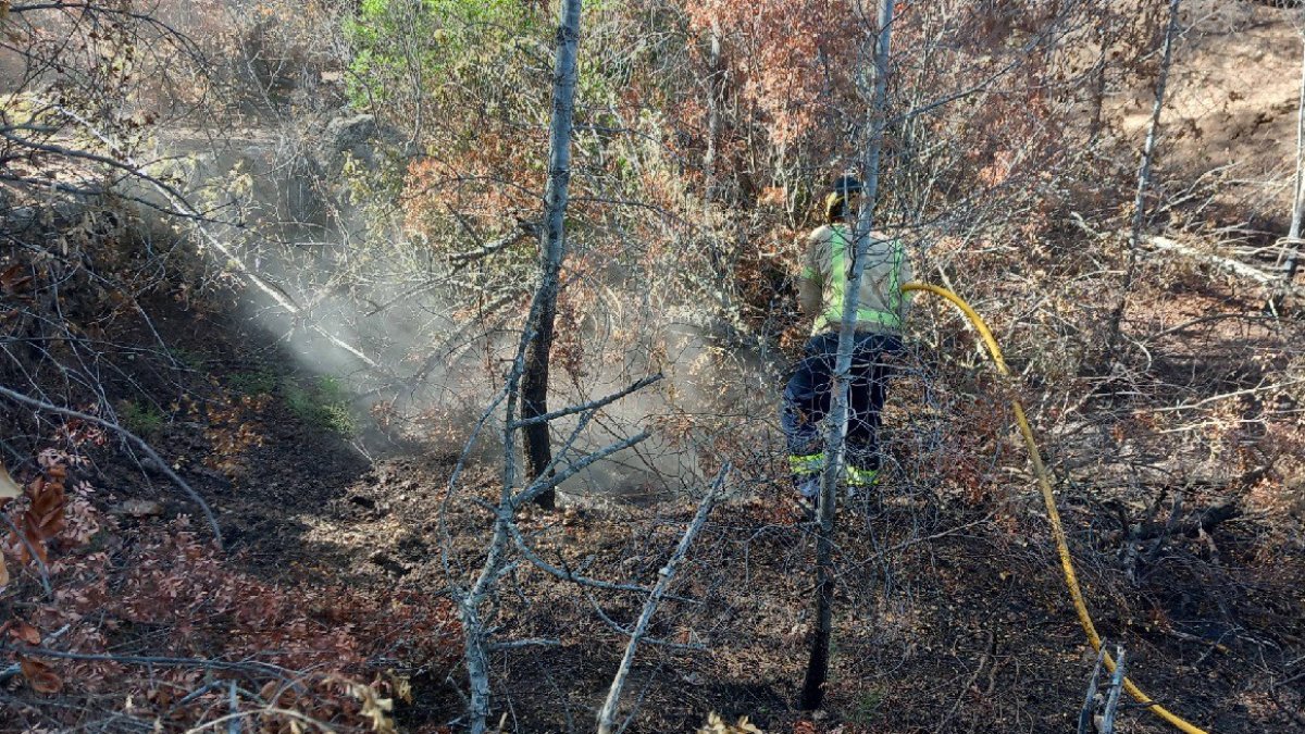 Un agent dels Bombers actuant al lloc dels fets.