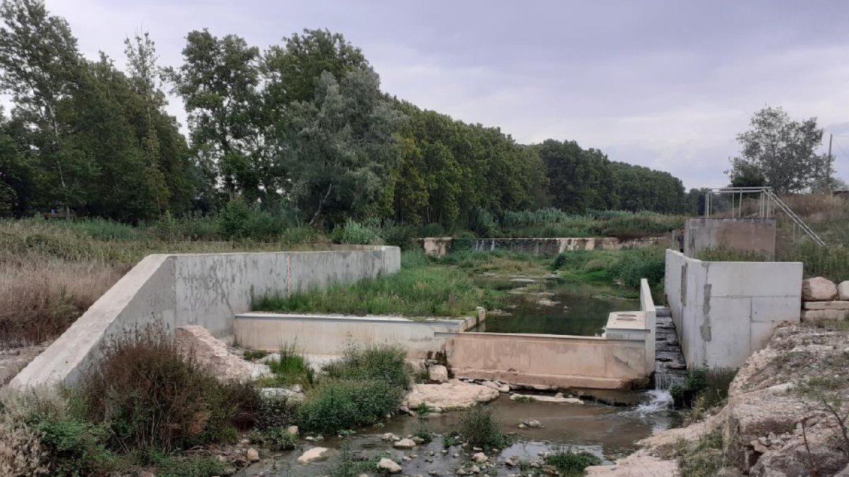 Se eliminarán pequeñas estructuras para la mejora del comportamiento hidrodinámico y se soterrará el actual cableado aéreo del sistema de medida para mejorar su protección y operatividad en episodios de avenida.