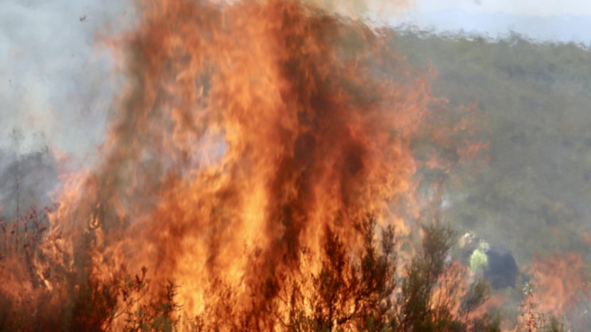 Incendio en Puercas (Zamora) en la Sierra de la Culebra.