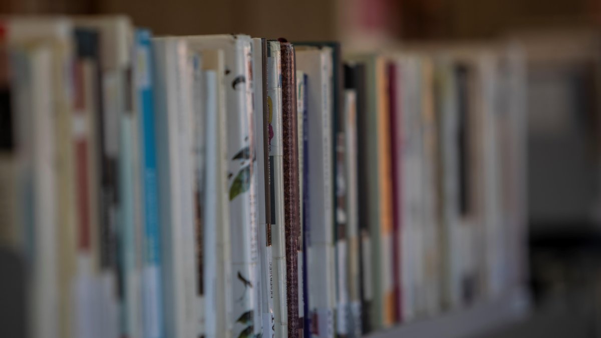 Imagen de archivo del punto de lectura de Sant Pere i Sant Pau.