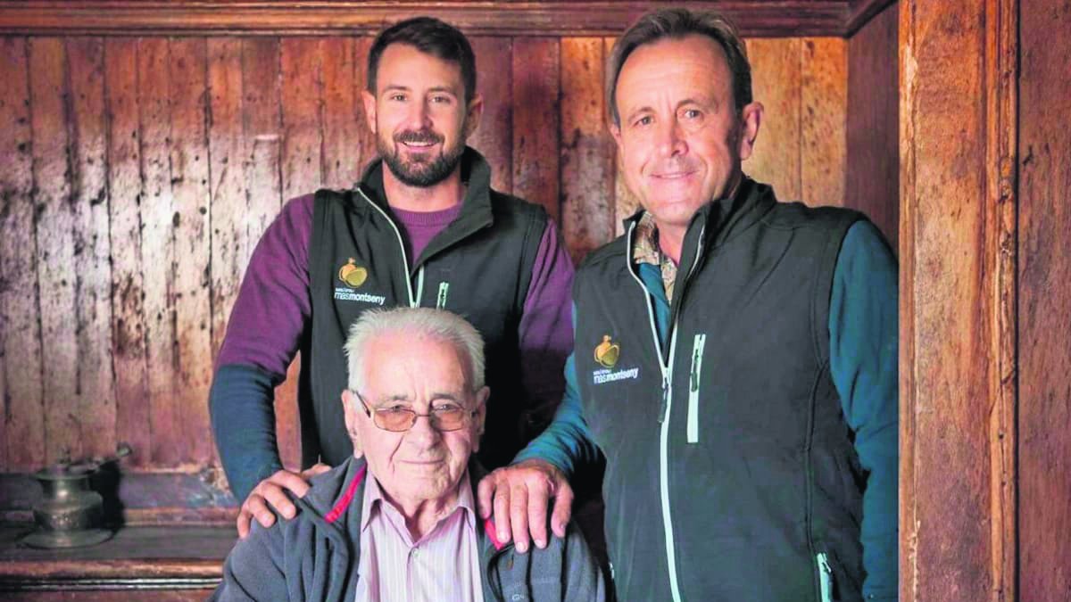 El molino de aceite Mas Montseny nació en el año 1940 en el Morell con la instalación de su primera prensa de piedra para hacer aceite.