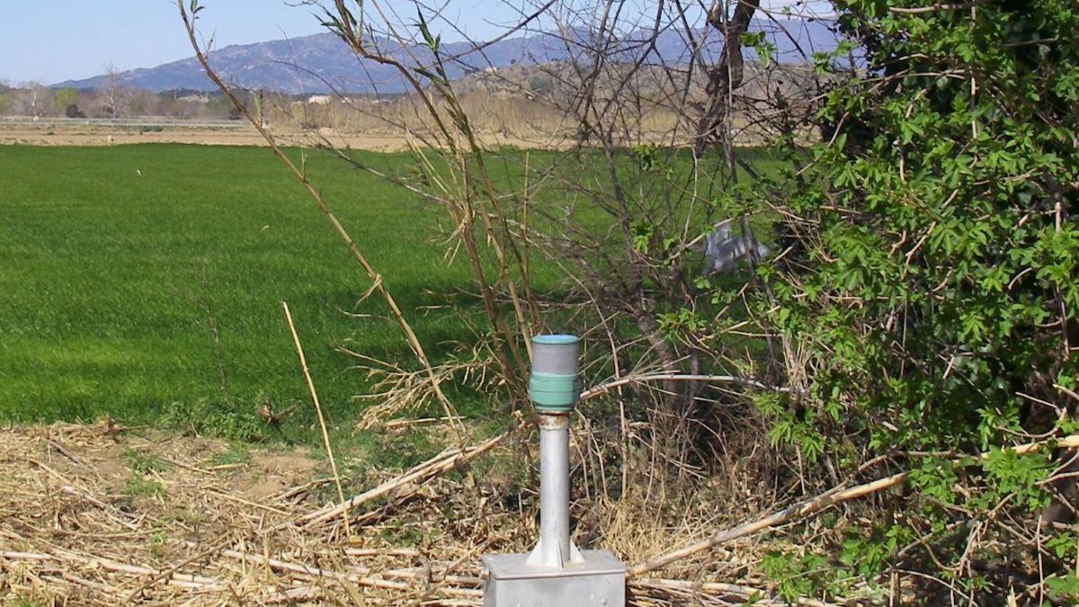 Detall d'un dels piezòmetres.