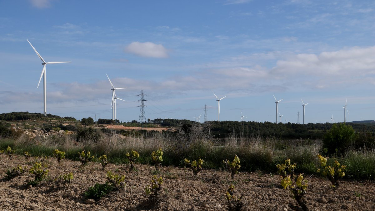 Plano general de aerogeneradores en el término municipal de Vilalba dels Arcs, en la comarca de la Terra Alta.