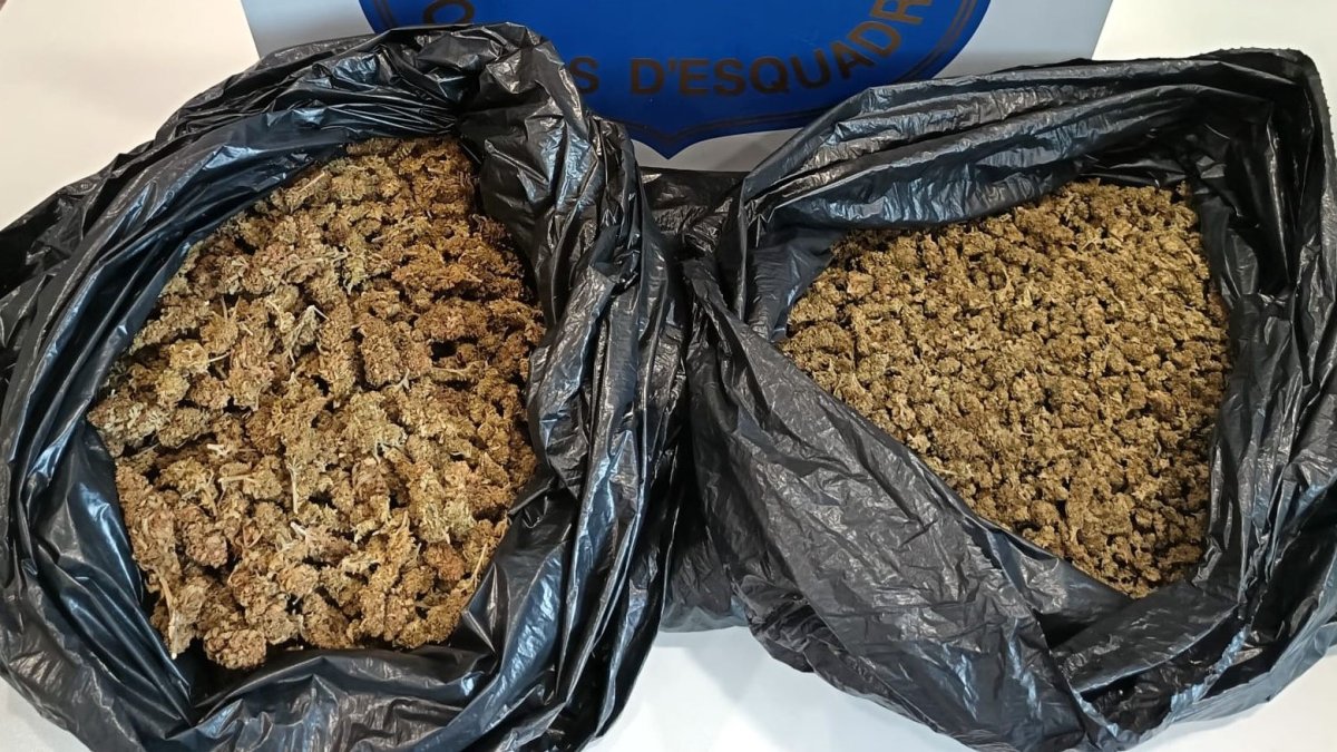 El coche interceptado desprendía un fuerte olor en marihuana.