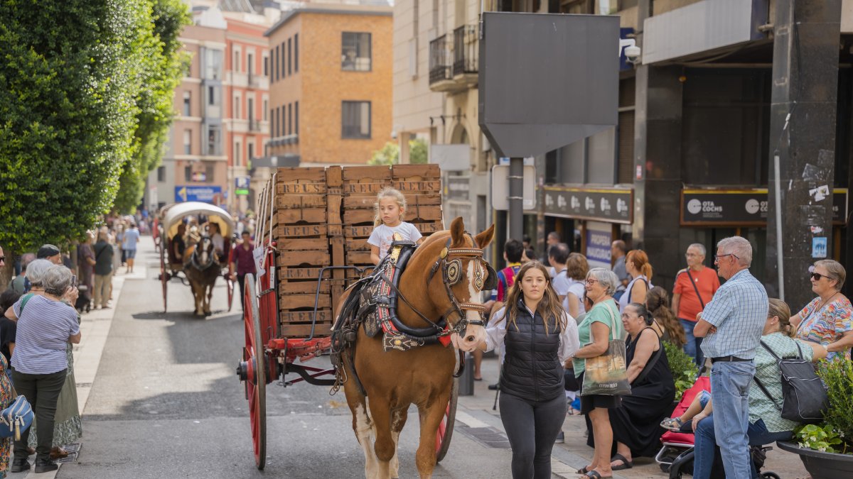 Carros y caballos durante la celebración de los Tres Tombs en Reus, marcada este año por la lluvia.