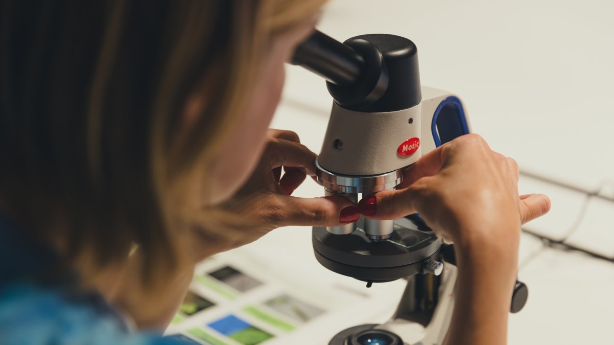 La Noche de la Investigación se celebra simultáneamente en 460 ciudades europeas.