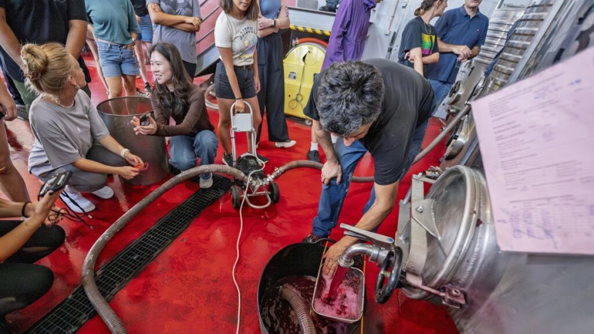 Estudiantes del Máster internacional Wintour siguen de cerca el proceso de elaboración del vino en la bodega de Mas dels Frares.