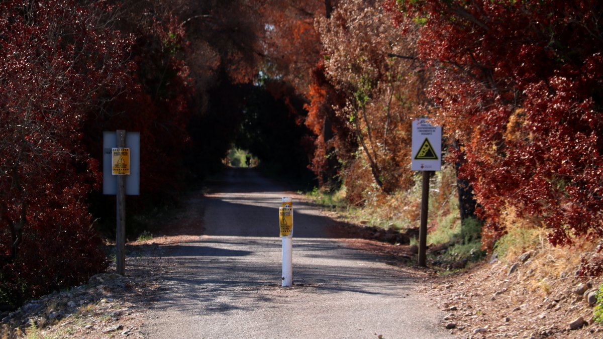 Árboles quemados en la entrada de un túnel de la Vía Verde de Xerta