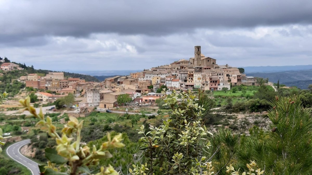 Imatge de La Figuera (Priorat).