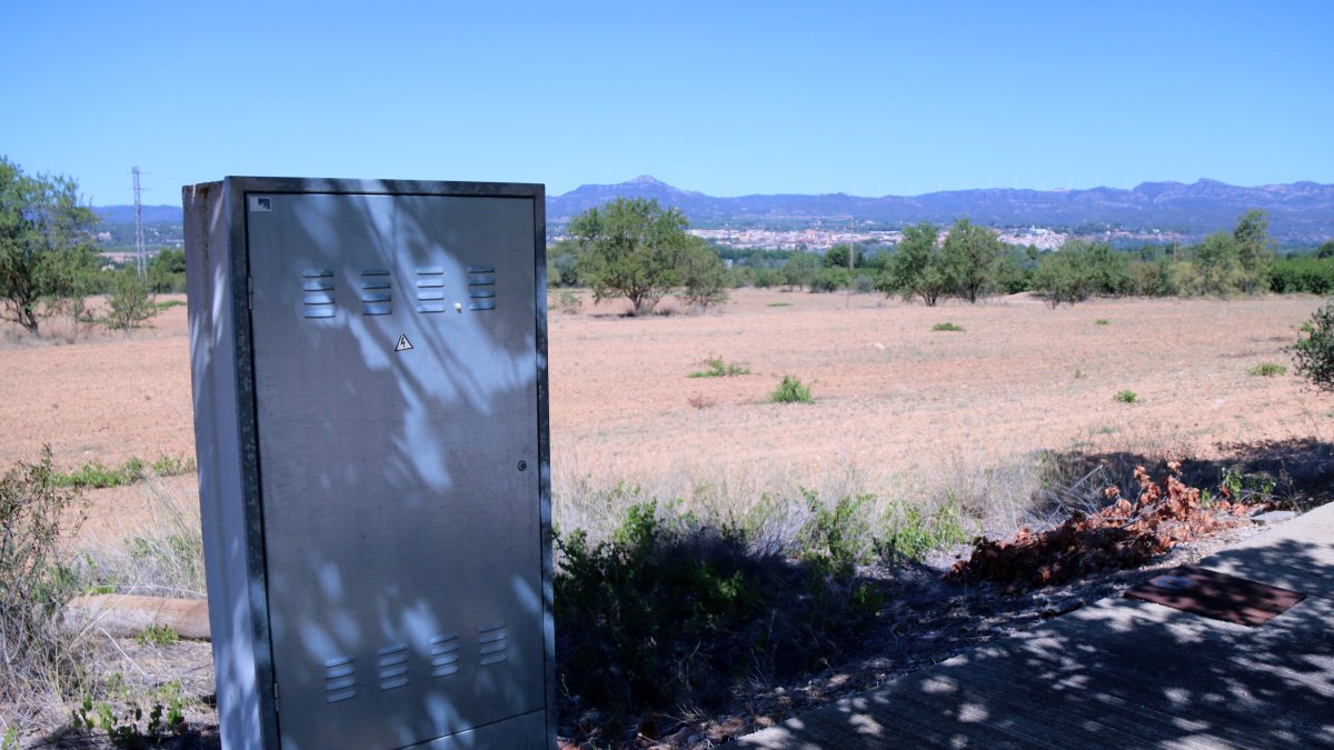 Caixa de connexions elèctriques al costat d'un terreny buit del polígon industrial del Molló