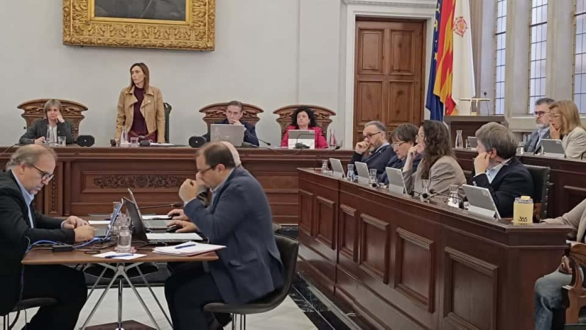 Imagen del pleno del Ayuntamiento de Reus.