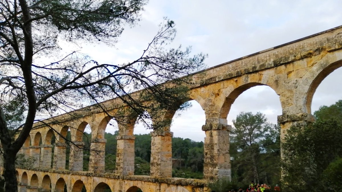 El temps màxim per a fer la caminada és de 5 h.