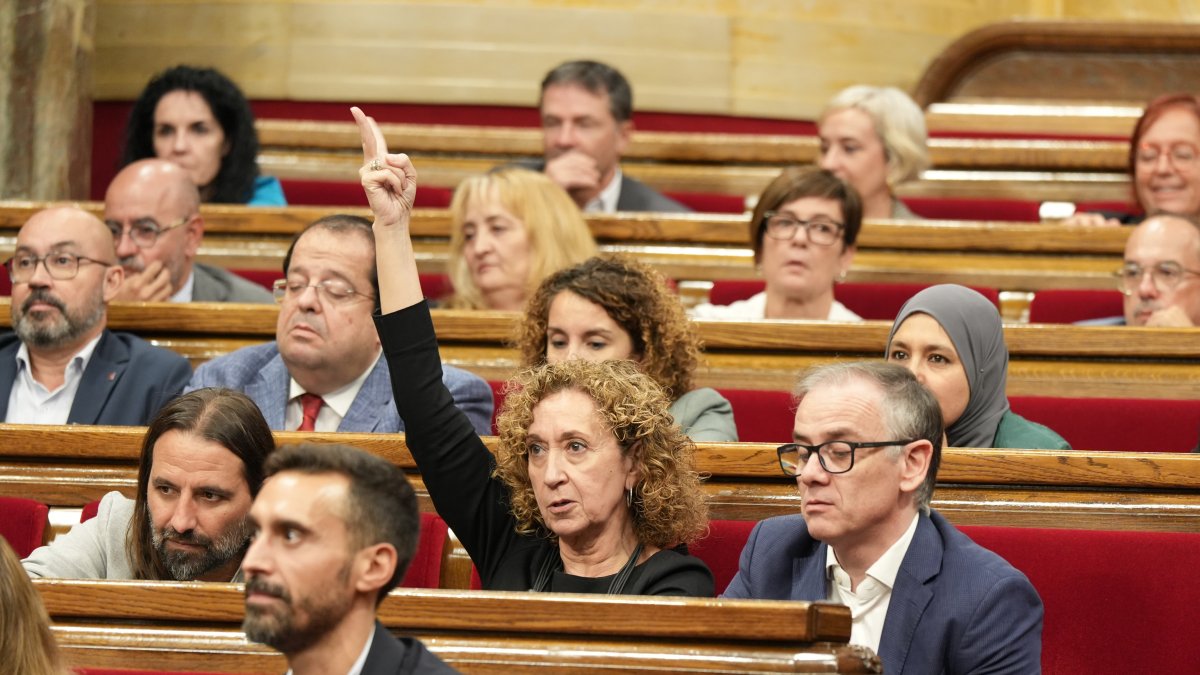 La portaveu d'ERC, Esther Capella, en la votació de les mocions del ple del Parlament.